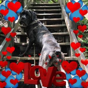 Meet your Posher, Teresa